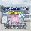 신나고 재미있는 역사체험교실(B) | 광화문광장 2025서울썸머비치 방문 후기