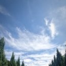 동쪽마을 이미지