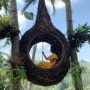 스윙 | 발리동부투어 “발리스윙”후기 인생샷찍으려면 무조건 가야 하는 이유