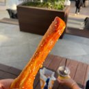 앤티앤스 김해롯데프리미엄아울렛