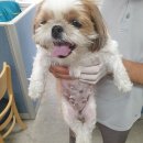 직산우체국 이미지