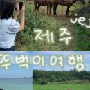 책닦는남자 이미지