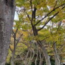 배둔시외버스터미널 | [남파랑길 창원+고성 12코스] 창원 암아교차로에서 당항포관광지를 지나 고성 배둔시외버스터미널까지