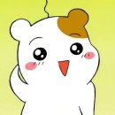 마켓라인