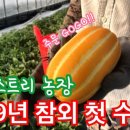 파파스트리