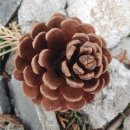 서로의 봉인된 비밀을 여는 것은 이미지