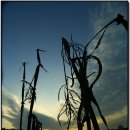 율동농장 이미지