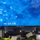어울림카워시 | 제주여행 동문시장 7번 출구 바로 옆, 디저트 이색카페 바솔트 감귤라떼, 메밀쿠키