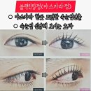 눈꽃브로우