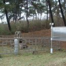 탑동석불 이미지