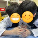 (초등)과학실험 이미지