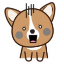 햇살가득동물병원 이미지