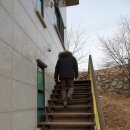 꿈에그린화장품
