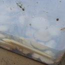 꿈이룸 펜션 이미지