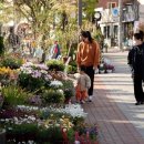 성북동-850 이미지