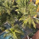 레드빈커피 | 클래식 트윈룸(Classic Twin Room) 509호, 레드빈 조식 리얼후기(내돈내산,장단점,수영장,룸서비스,조식)