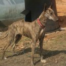 우리집족보 이미지