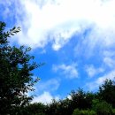 파란부동산중개 이미지