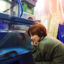 정마 주식회사 | 수완지구맛집 : 주식회사포장마차