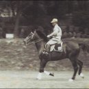 박정희로-8 이미지