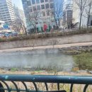 오케이행정사사무소 이미지