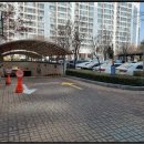 일산동 일산근린공원-1 이미지