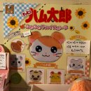 은방울노래방 | 강제성을 싫어하는데 강제성이 없으면 죽어도 안 하려고 함