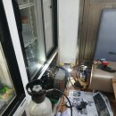 계대마트