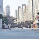 닥터홍동물병원