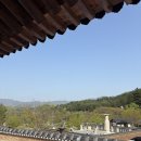 봉선사 템플스테이