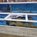 한라장어&활어 이미지