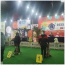 굿데이독 케어센터 이미지