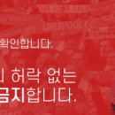 [공홈] EA Sports FIFA 올해의 팀 후보에 오른 8명의 리버풀 선수들 이미지