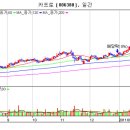 카프로[006380] 기업분석을 통한 향후전략!! 이미지