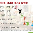 빼자점핑다이어트