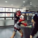 울진제일약국 이미지