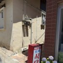 보배렌트카 | 도동항 맛집 울릉도 보배식당 첫날 점심 홍합밥 추천