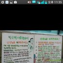 연희초등학교 4학년학생 광화문앞에서 1인시위 이미지