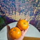 황토사랑영농조합법인 이미지