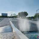 반야월삼거리 이미지