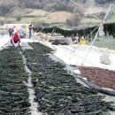 여남민박 이미지