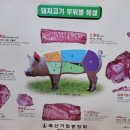 태백생고기 이미지