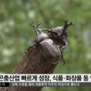 초록꽃벵이농장