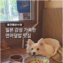 딱좋아식당