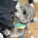 우야 대박 명당 | 태안 캠핑장 태안노을숲 강추