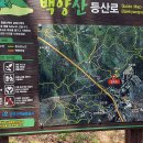 백양산임도(1) 이미지