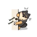 포동펫살롱 이미지