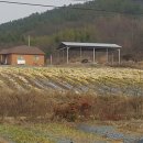 용운농장 이미지