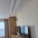 해리안호텔 | 제주도 중문 숙소 해리안호텔 내돈내산 후기