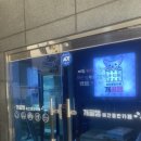 개꿀잼 애견카페 이미지